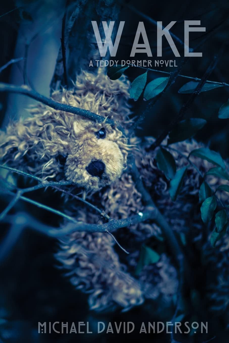 Wake: A Teddy Dormer Novel (The Damnation Saga) poster
