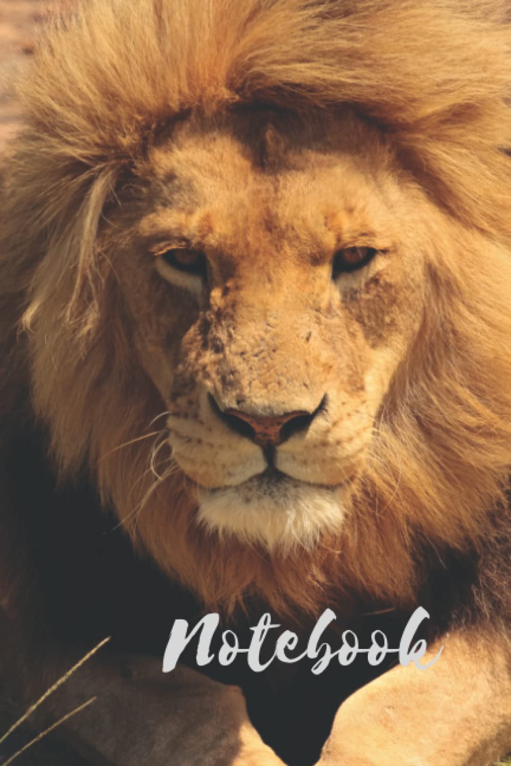 Notebook: LEO LION INSPIRED NOTEBOOK poster