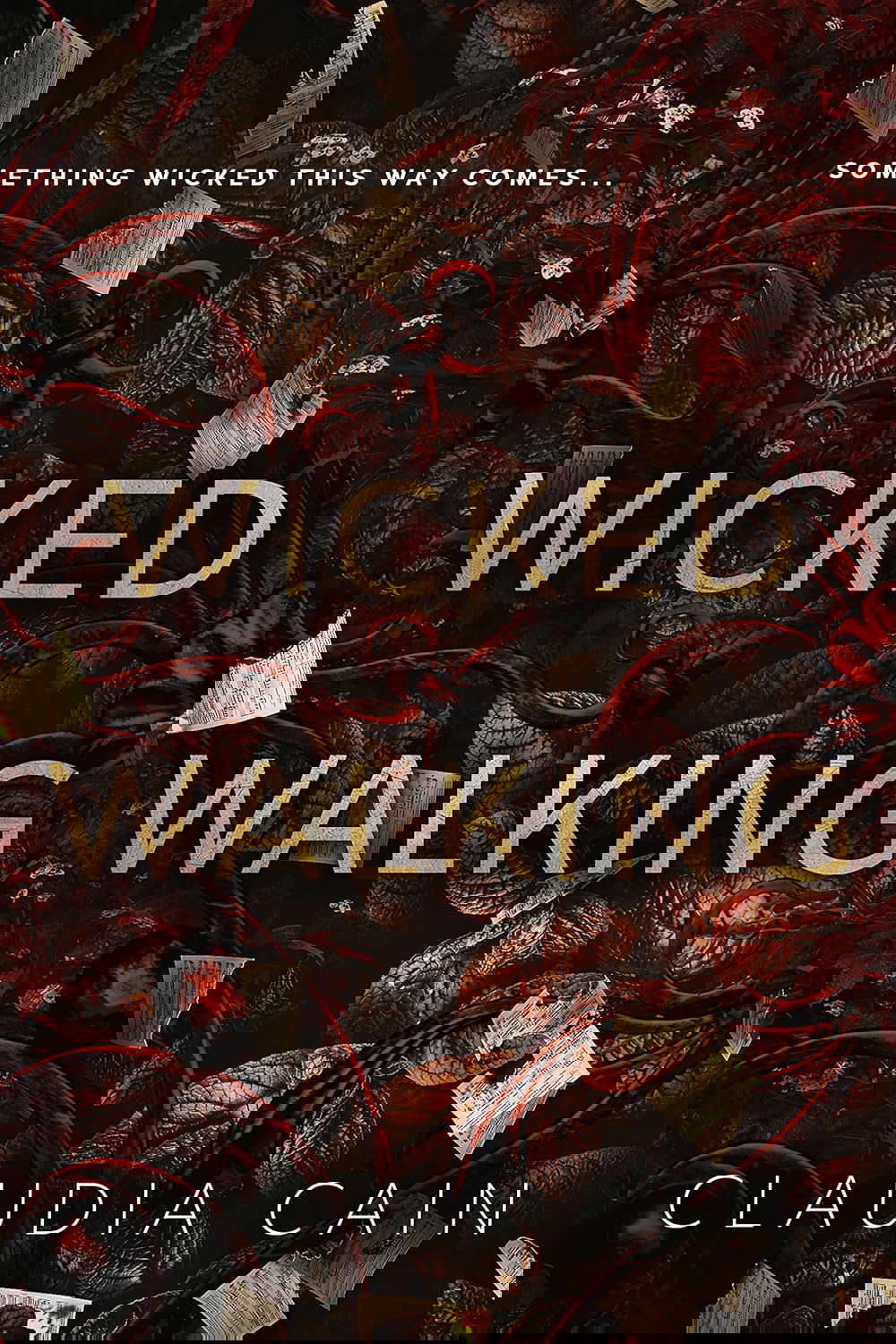 Wicked Walking (Fallow Creek Book 2) poster