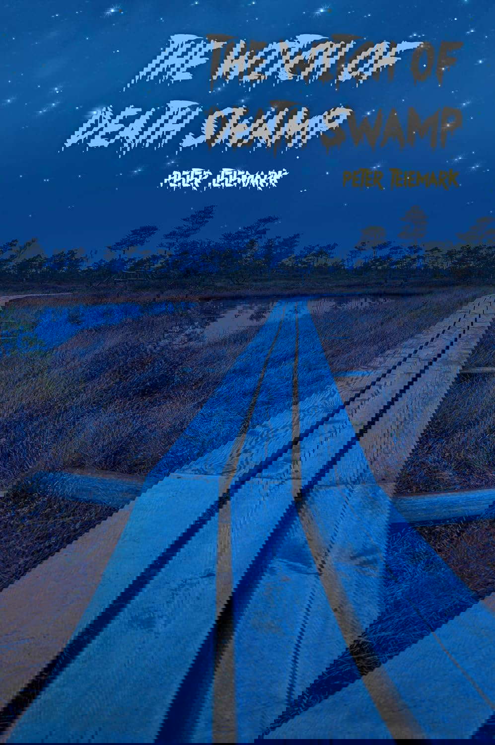 The Witch of Death Swamp (The Seth Athenor Series) poster