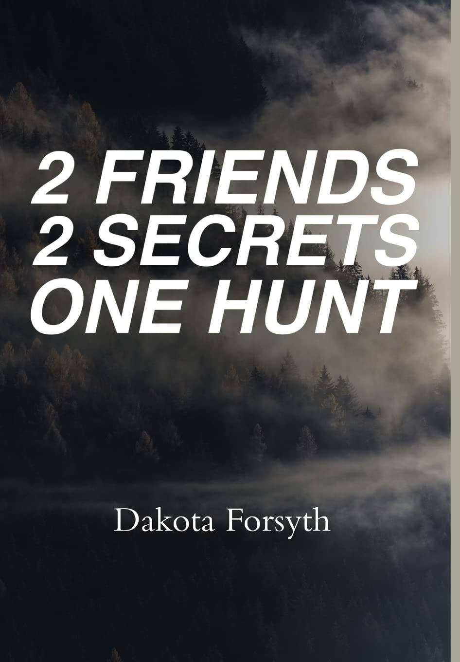 2 Friends 2 Secrets One Hunt poster