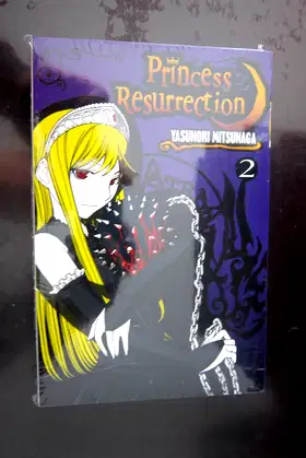 Princess Resurrection 2 poster