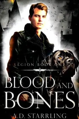 Blood and Bones (Legion) poster