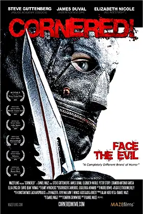 Cornered! poster
