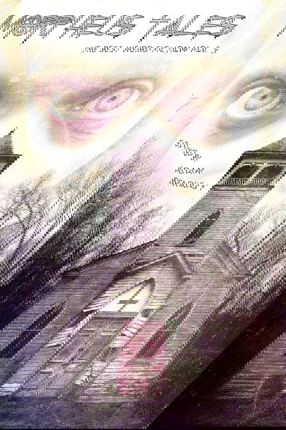 Morpheus Tales: The Best Weird Fiction Volume 5 poster