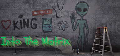 Into The Matrix capsule