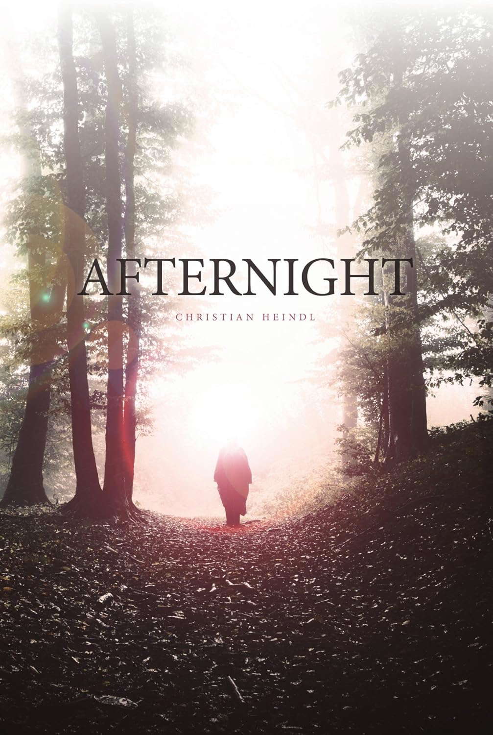 Afternight poster