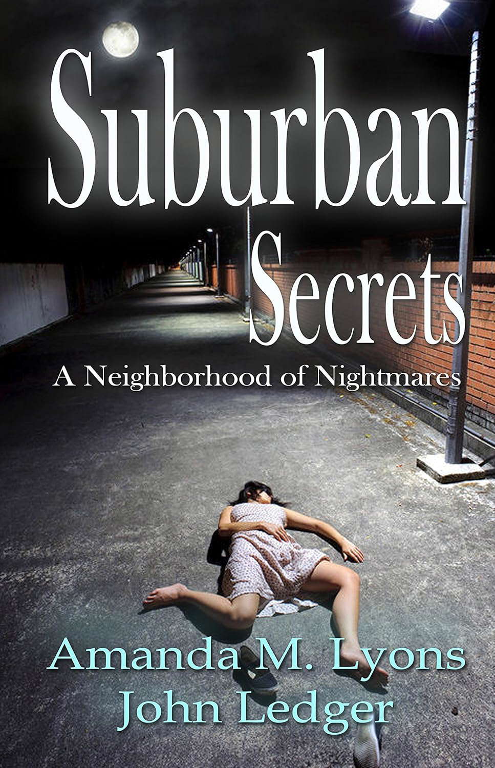 Suburban Secrets: A Neighborhood of Nightmares poster