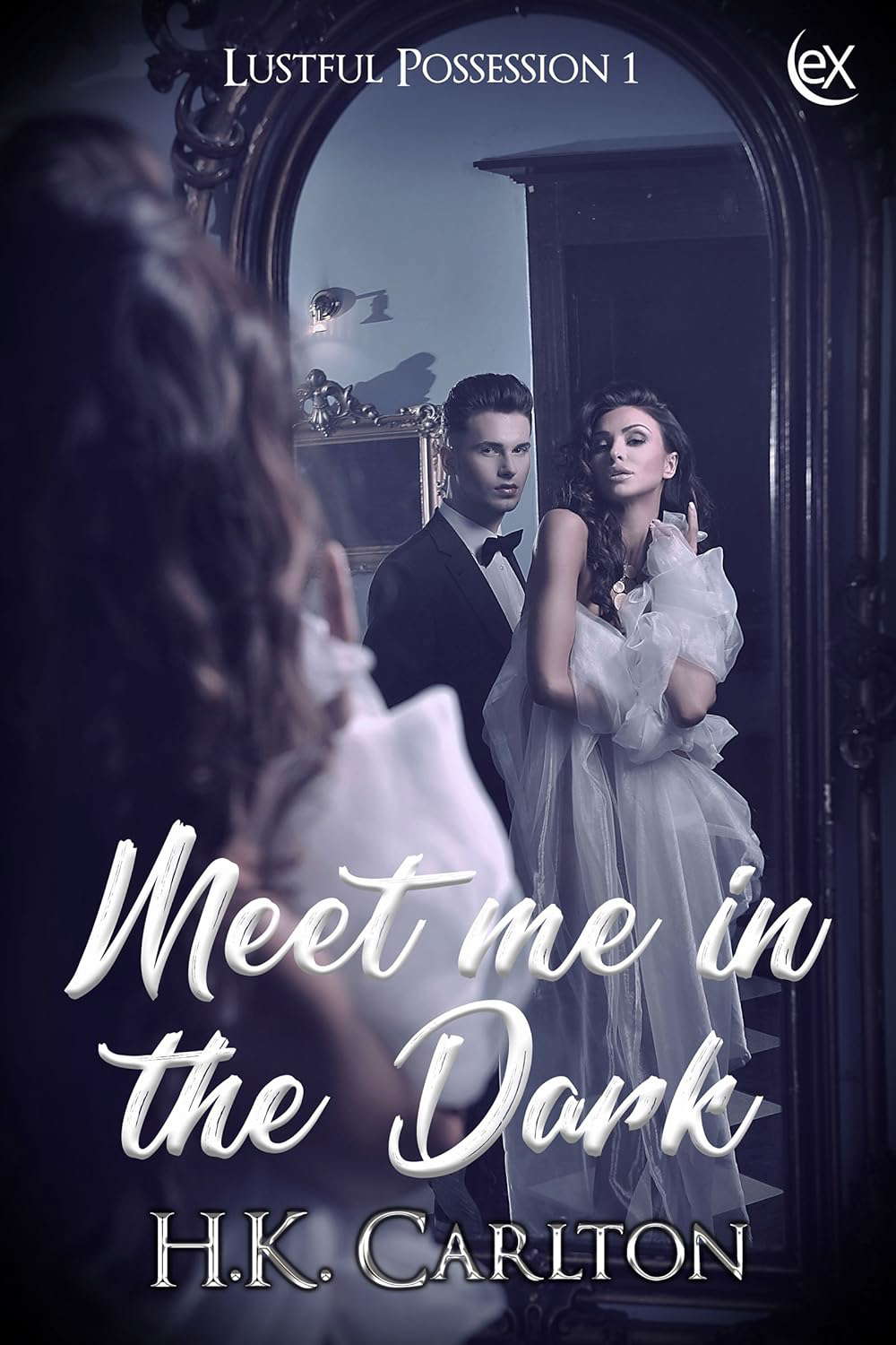 Meet Me in the Dark (Lustful Possession Book 1) poster