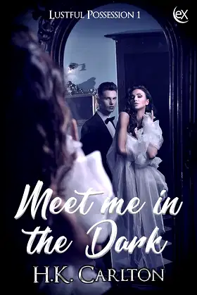Meet Me in the Dark (Lustful Possession Book 1) poster