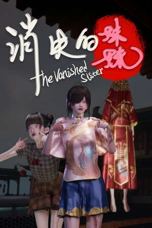 消失的妹妹(The Vanished Sister) poster