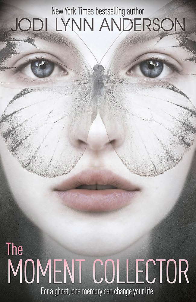 The Moment Collector poster