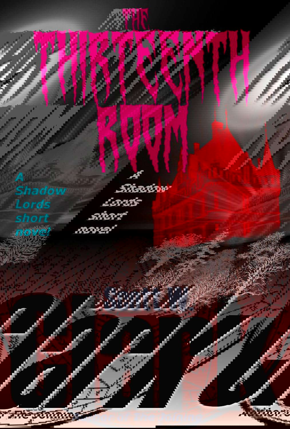 Shadow Lords: The Thirteenth Room--an Archon vampire novel poster