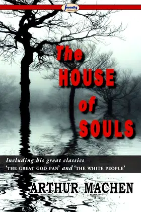 The House of Souls poster