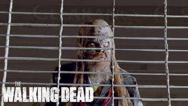 The Walking Dead Season 10 Teaser: Hold Our Breath poster
