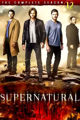 Season 12 poster