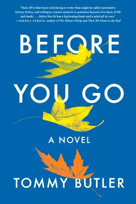 Before You Go: A Novel poster