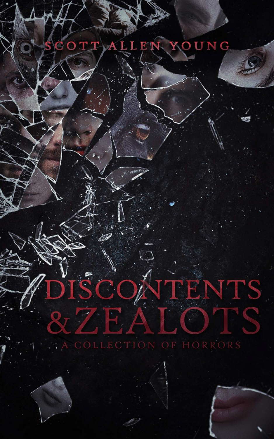 Discontents and Zealots: A Collection of Horrors poster