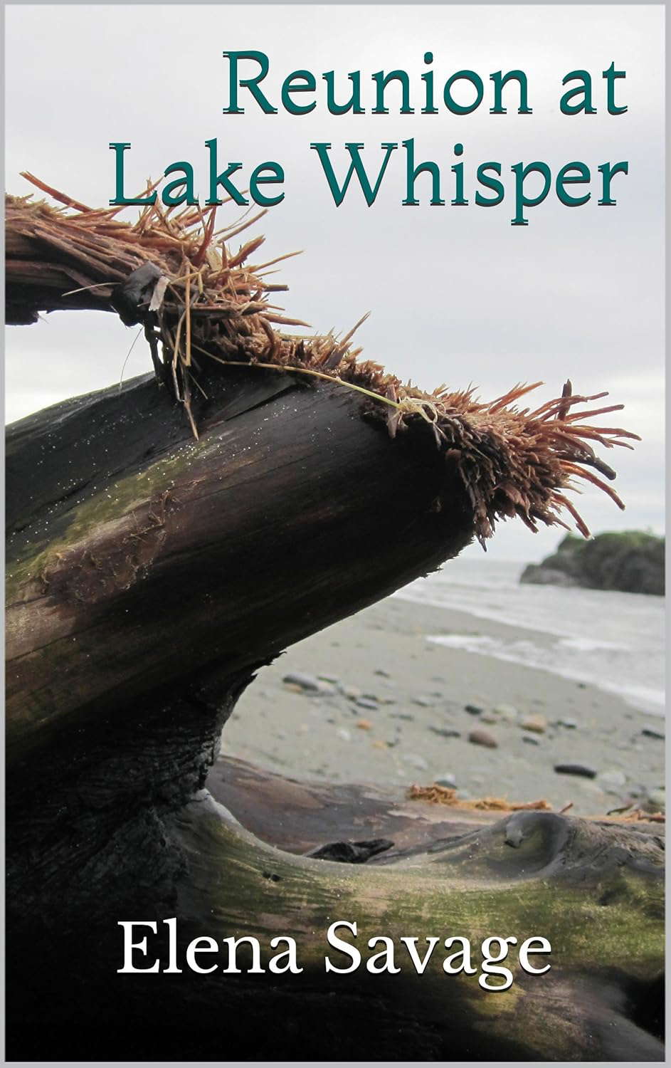 Reunion at Lake Whisper poster