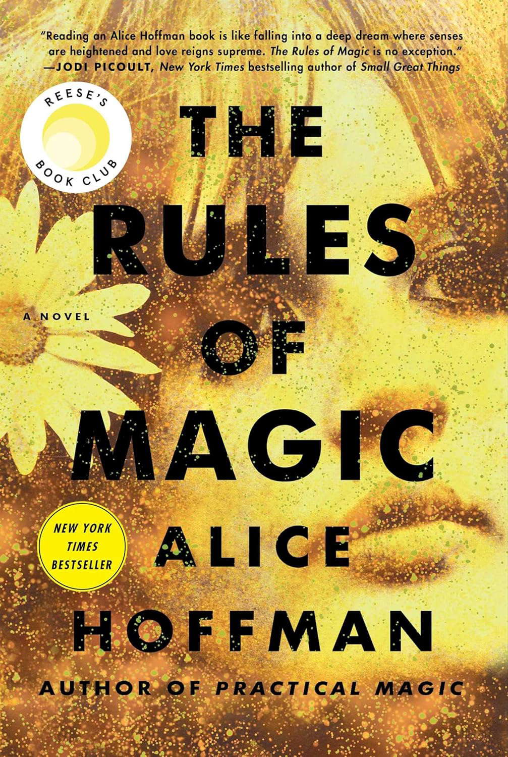 The Rules of Magic: A Novel (2) (The Practical Magic Series) poster