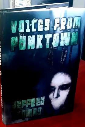 Voices From Punktown poster