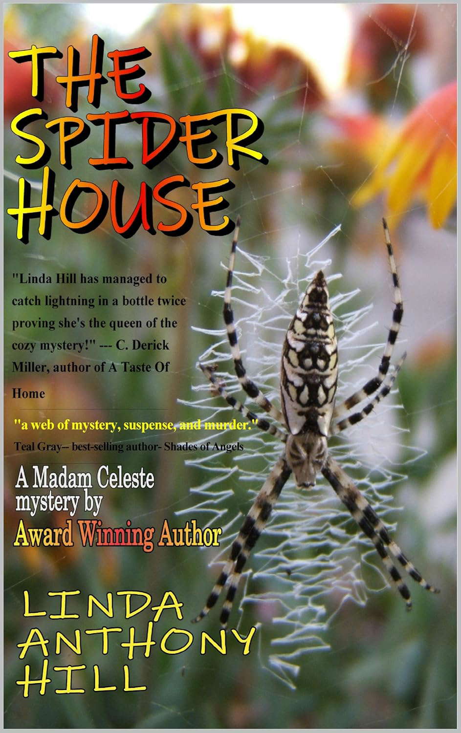 THE SPIDER HOUSE: A Madam Celeste Mystery poster