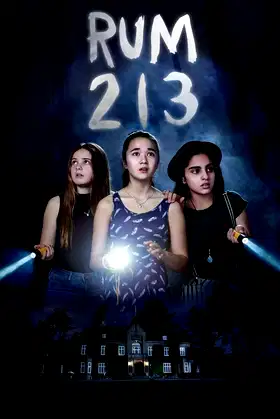 Room 213 poster