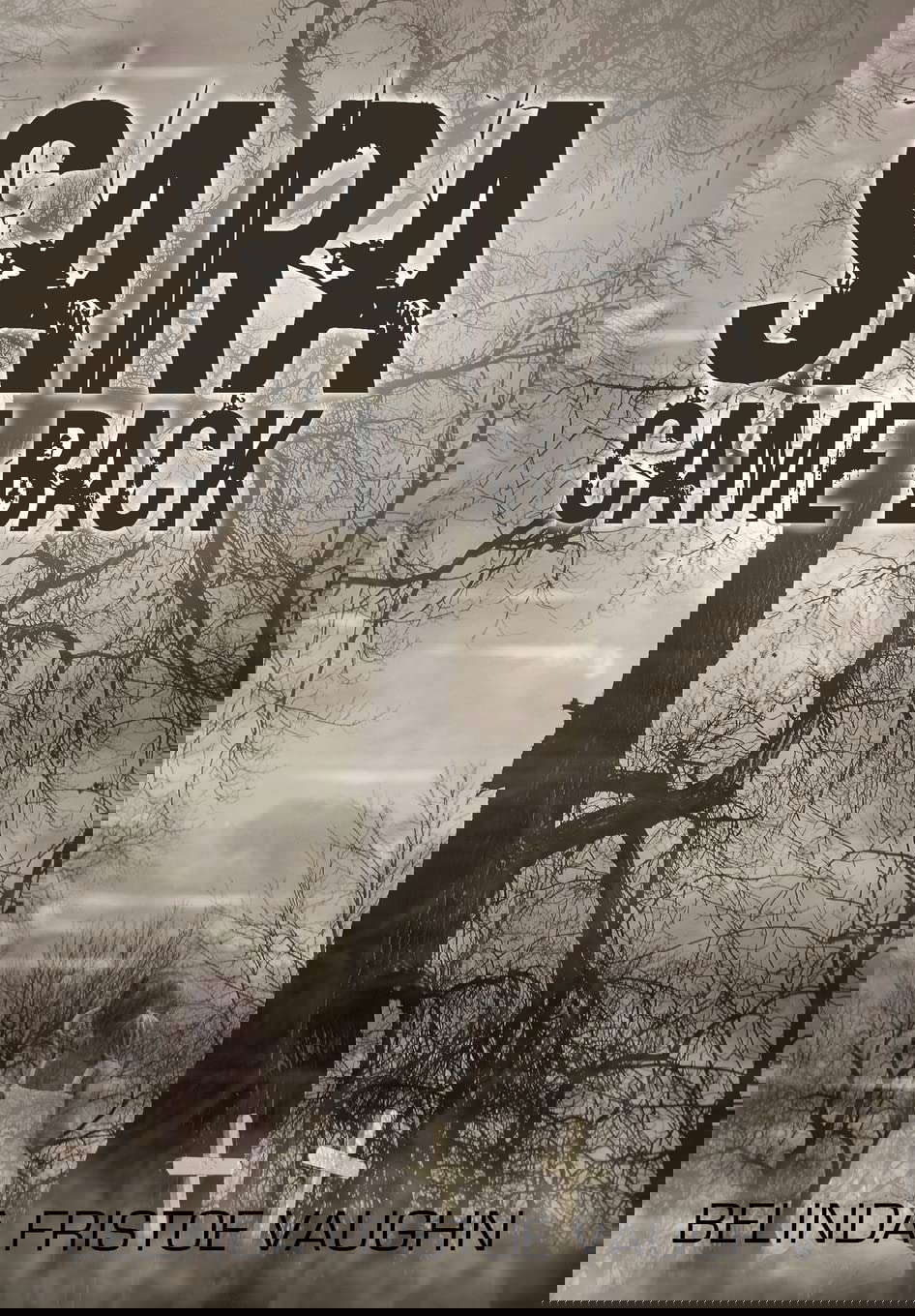Sara Came Back poster