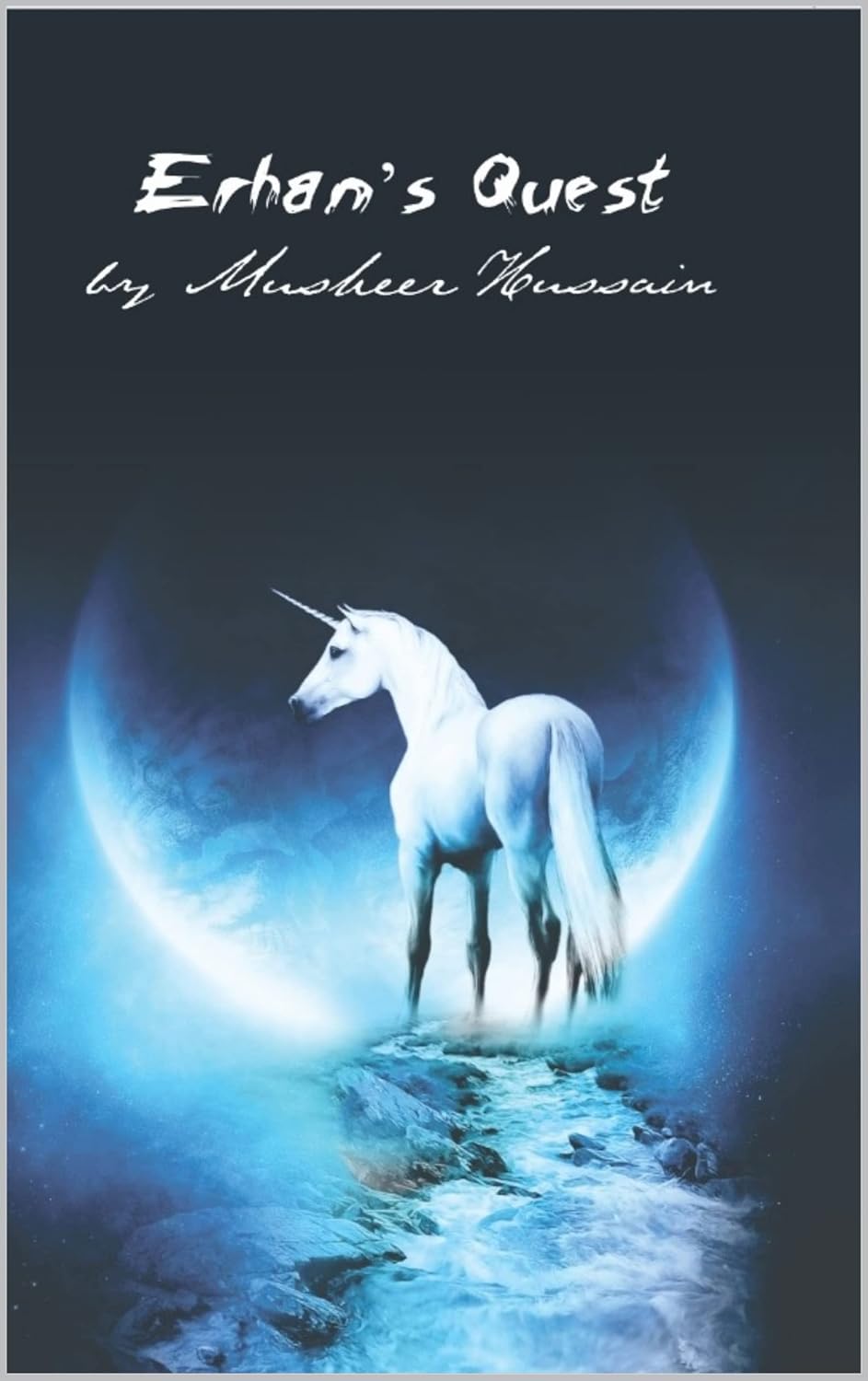 Erhan's Quest poster
