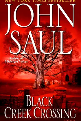 Black Creek Crossing: A Novel poster