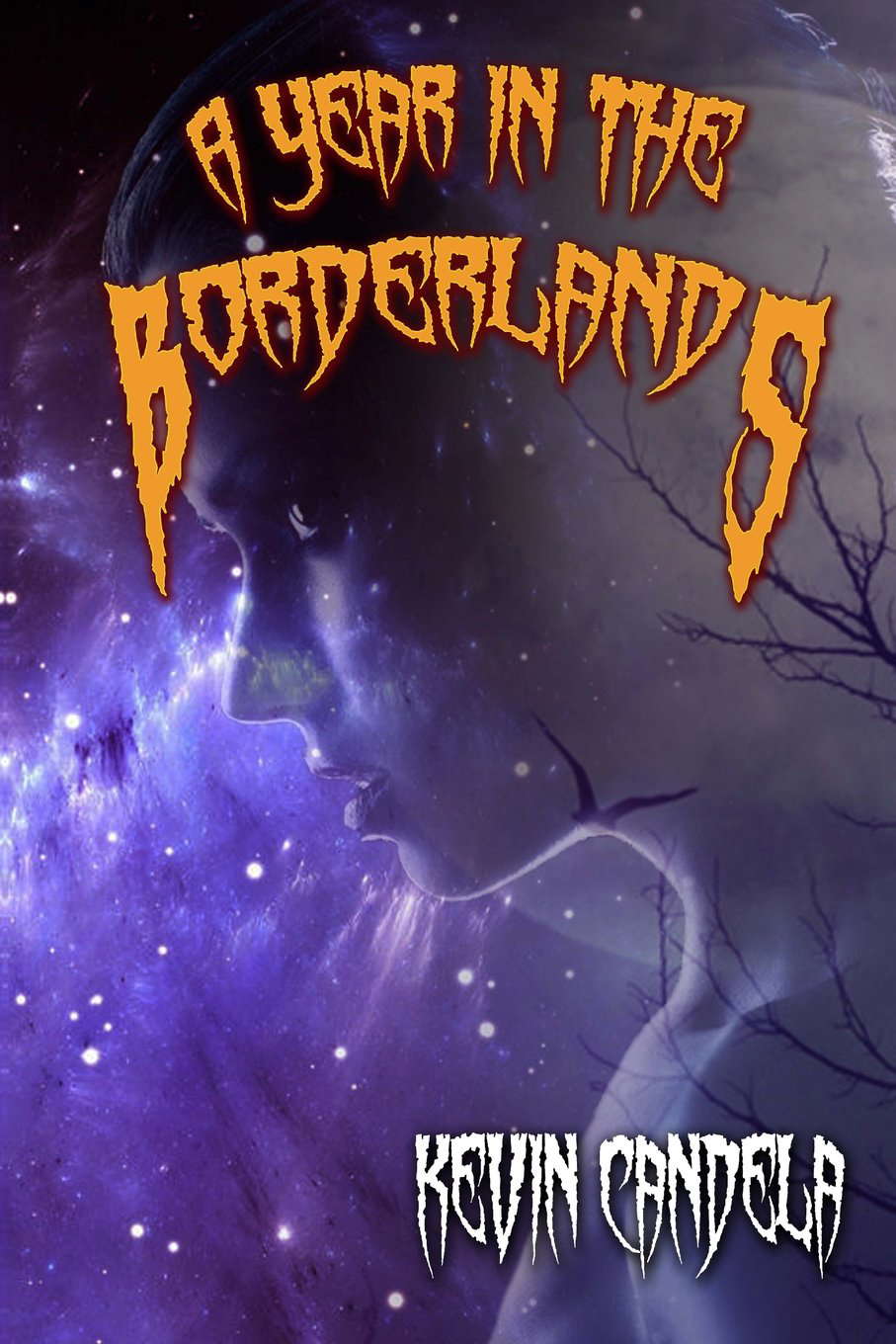 A Year in the Borderlands poster