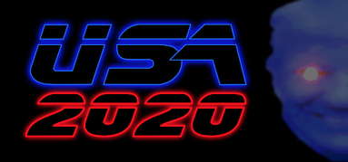 USA 2020 capsule