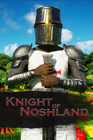 Knight of Noshland poster