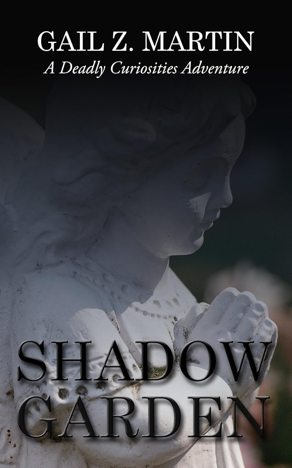 Shadow Garden (A Deadly Curiosities Adventure Book 13) poster