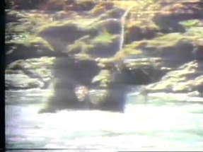 Sasquatch The Legend Of Bigfoot 1977 TV Trailer poster