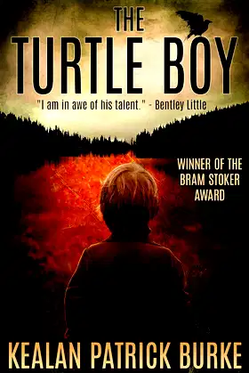 The Turtle Boy (The Timmy Quinn Series Book 1) poster