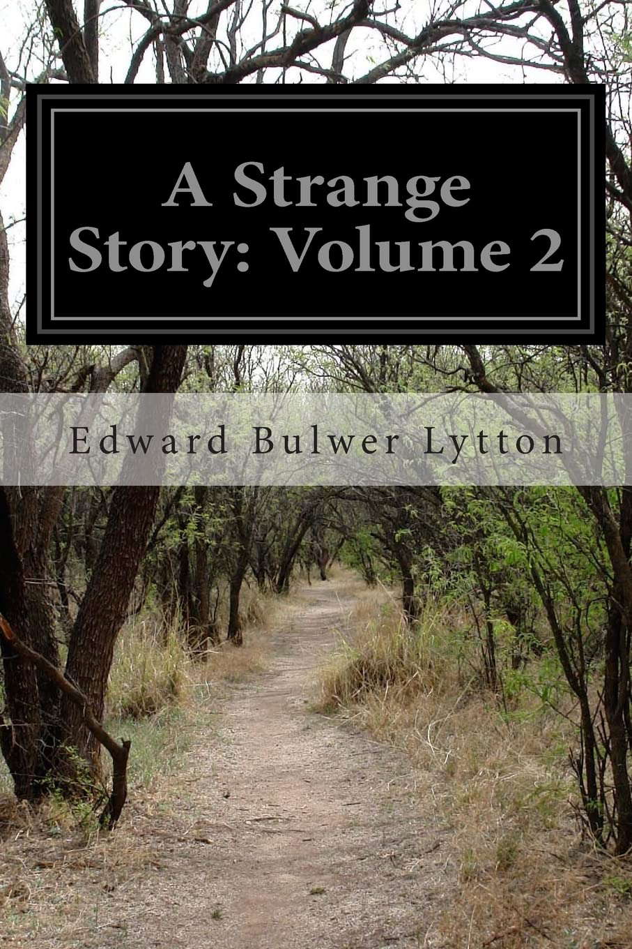 A Strange Story: Volume 2 poster