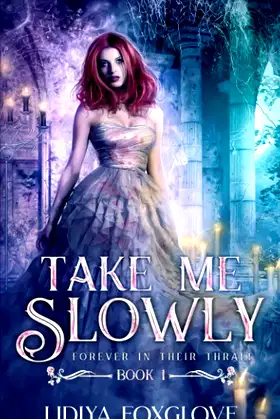 Take Me Slowly poster