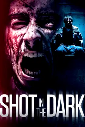 Shot in the Dark poster