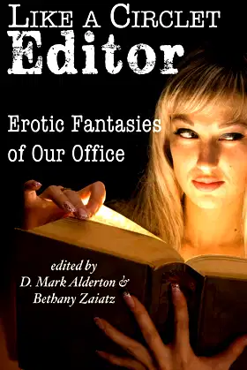 Like A Circlet Editor: Erotic Fantasies of Our Office poster