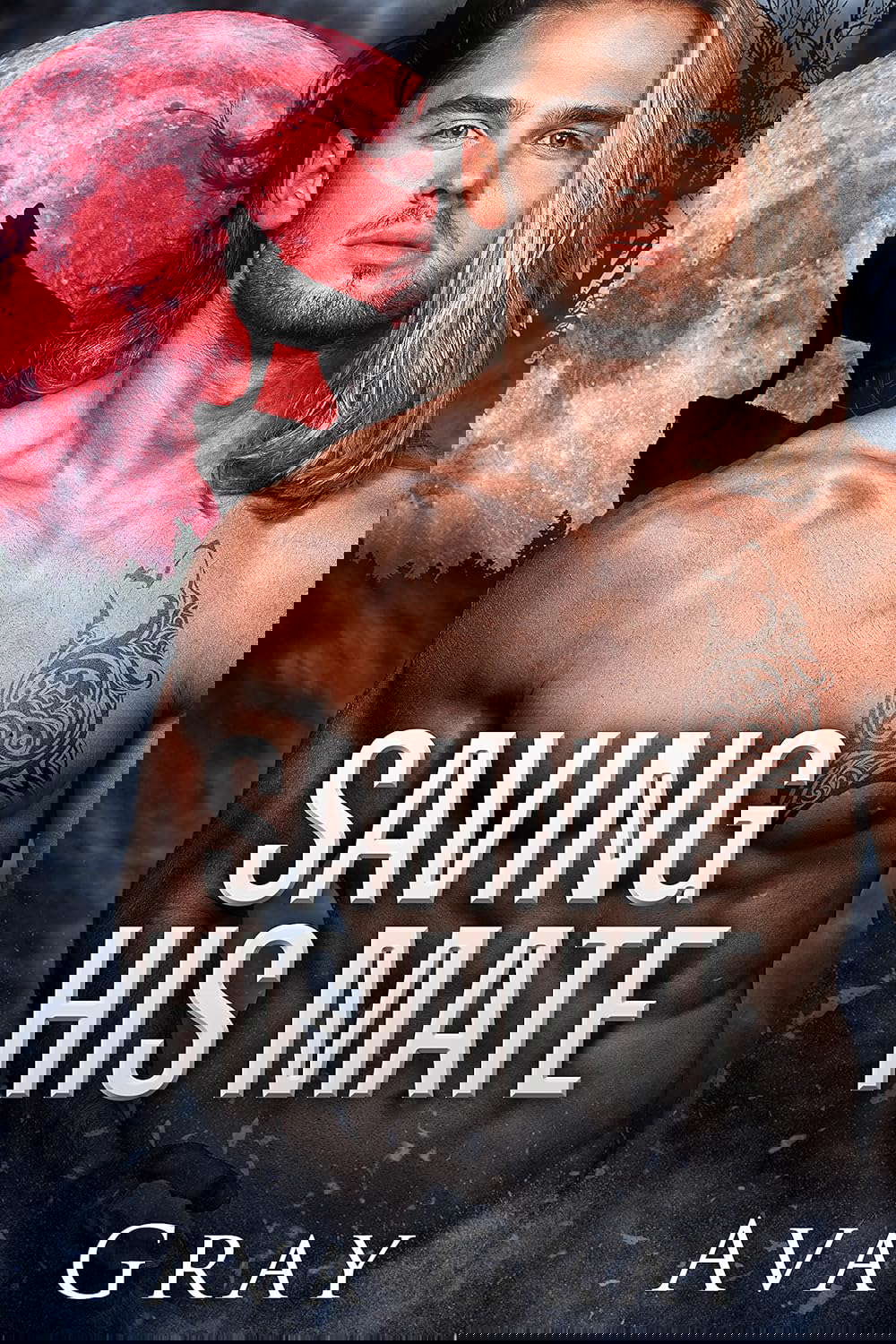 Saving His Mate (Everton Falls Mated Love Book 3) poster