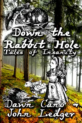 Down the Rabbit Hole: Tales of Insanity poster