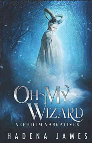 Oh My Wizard (Nephilim Narratives) poster