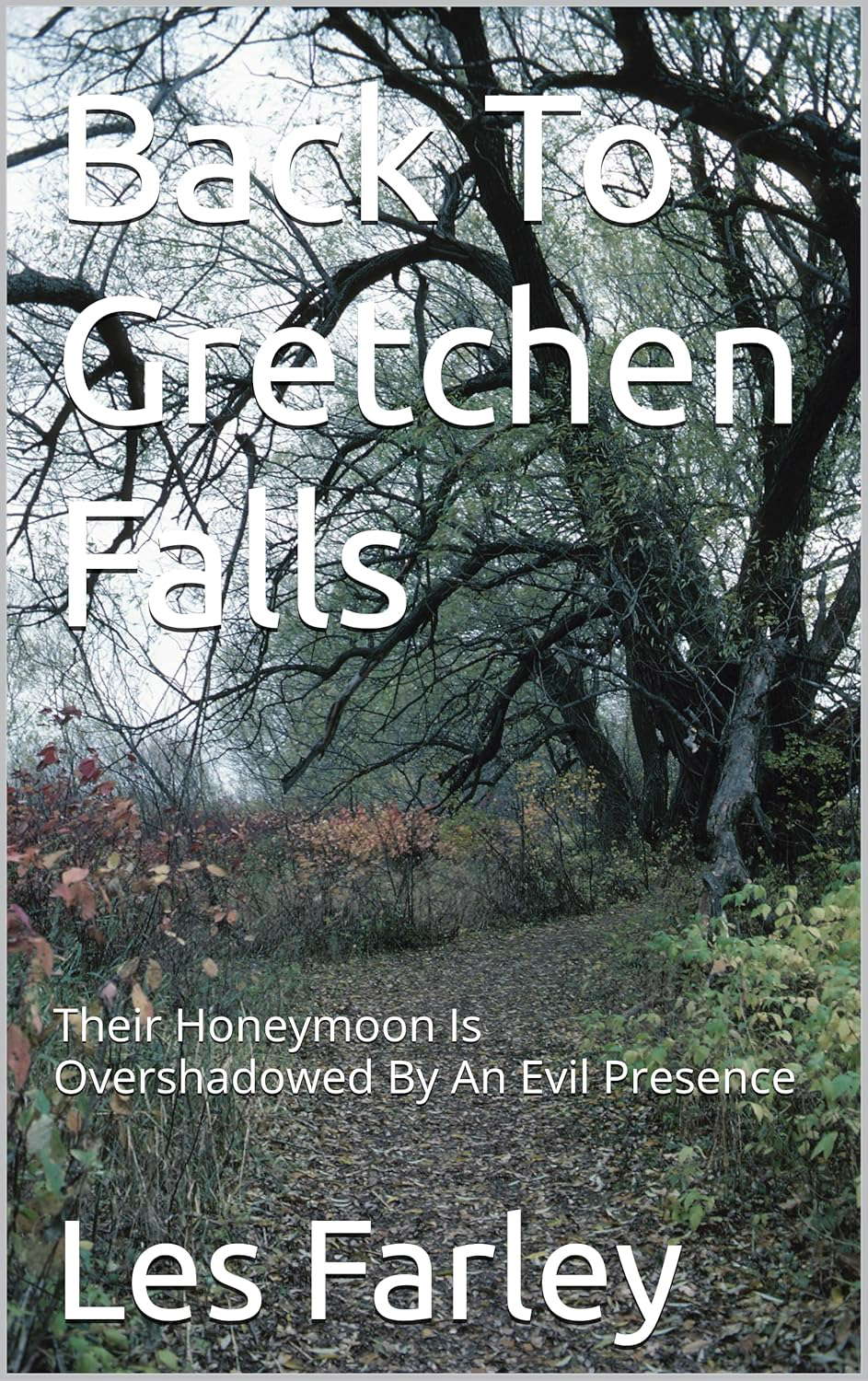 Back To Gretchen Falls: Their Honeymoon Is Overshadowed By An Evil Presence poster