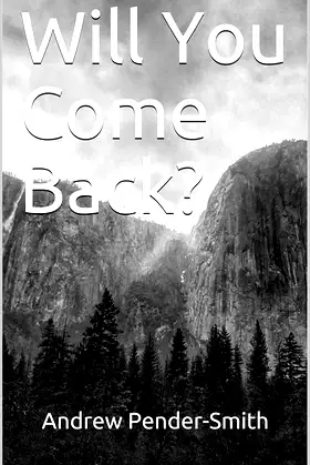 Will You Come Back? poster