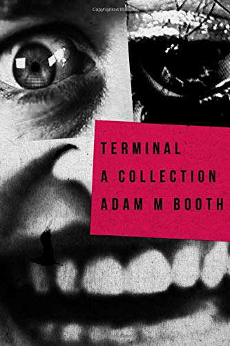 Terminal: A Collection Of Horror Novellas poster