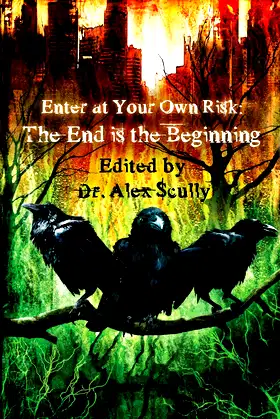 Enter at Your Own Risk: The End Is the Beginning poster