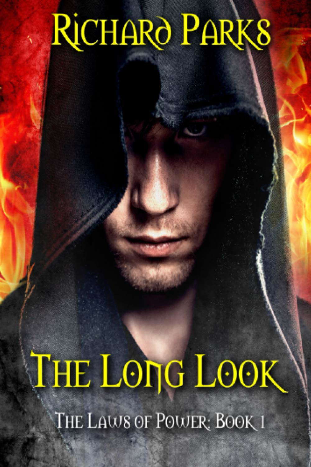 The Long Look (The Laws of Power) poster