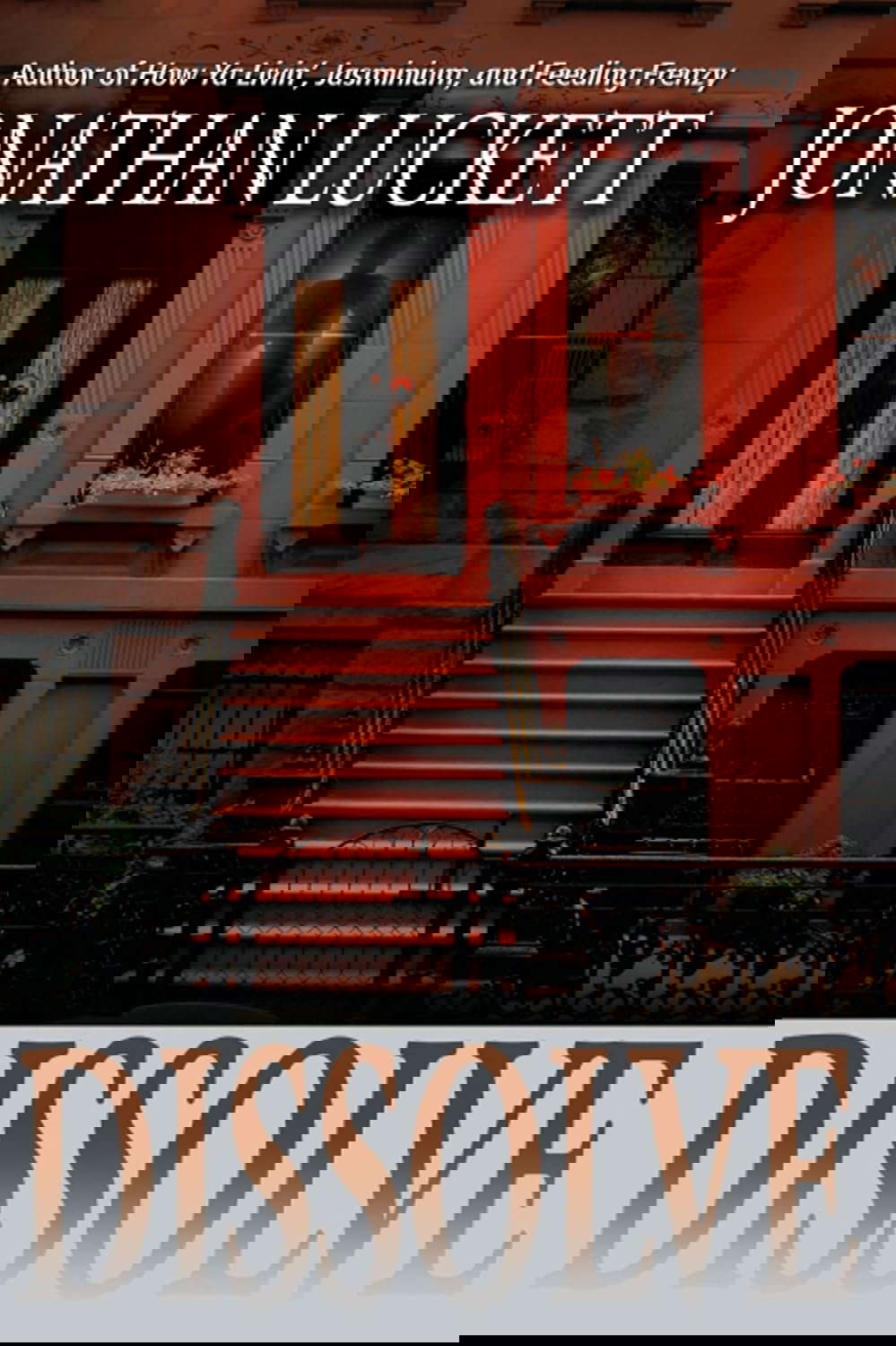 Dissolve: A Novel poster