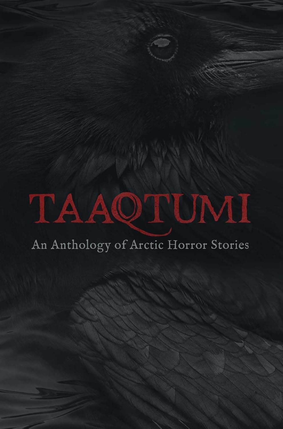 Taaqtumi: An Anthology of Arctic Horror Stories poster